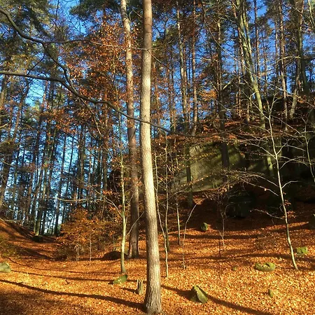 Apartment U Studanky Koberovy