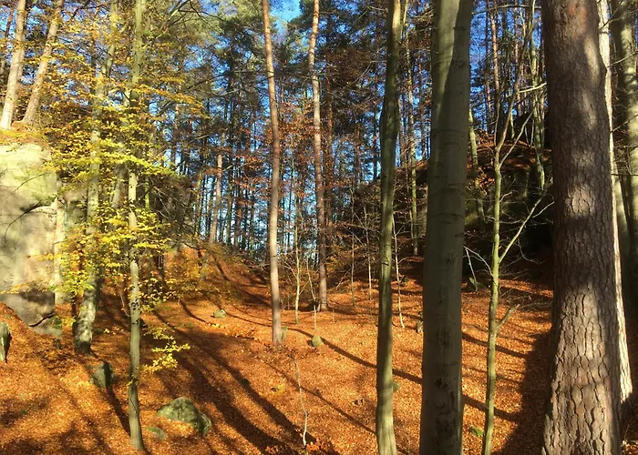 U Studánky Koberovy